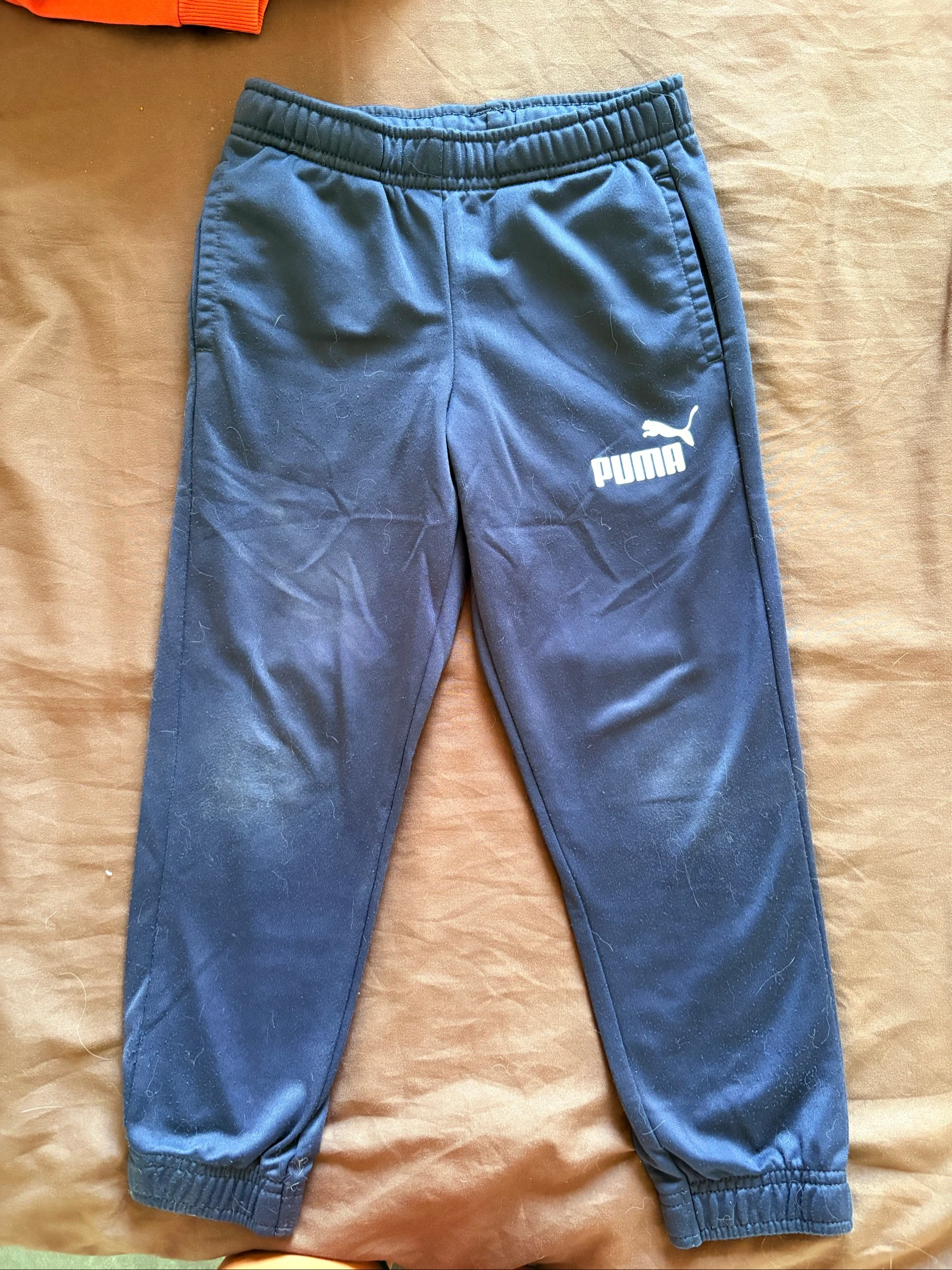 Jogging puma